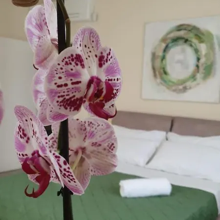 Terra D'aspra 巴格里亚