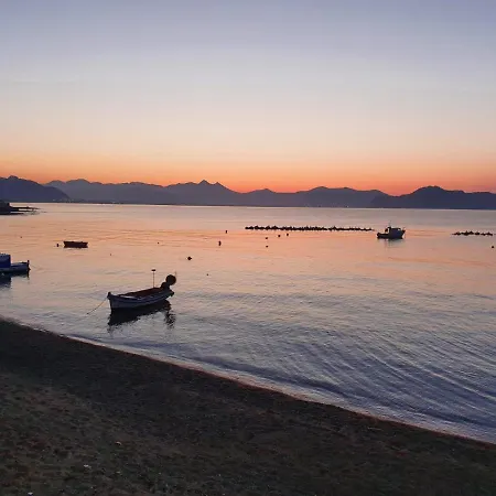 ゲストハウス Terra D'aspra 3*