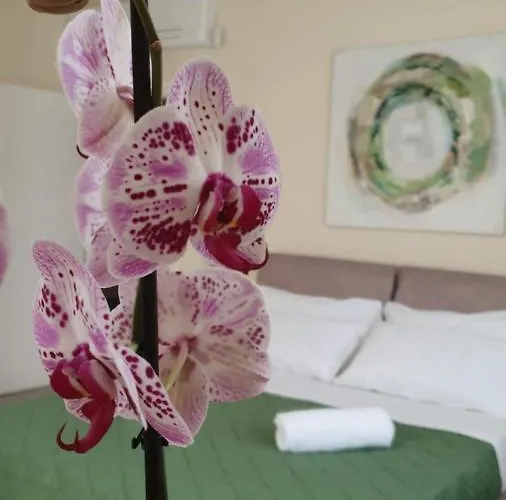 Terra D'aspra Багерия